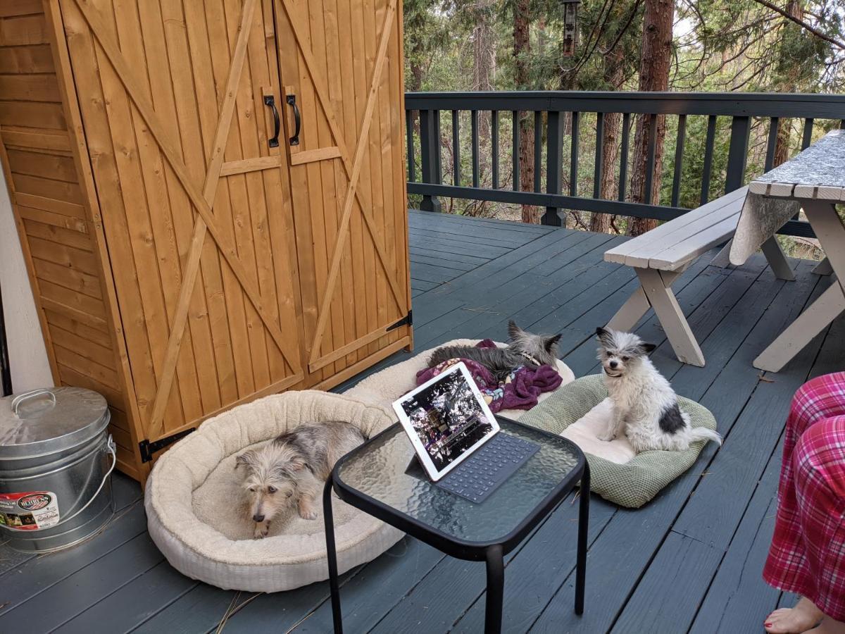 Breckenridge Near Yosemite. Dog Friendly! Vakantiehuis
